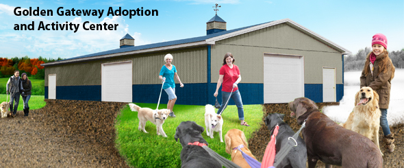 Adoption Activity Center Campaign Delaware Valley Golden Retriever Rescue