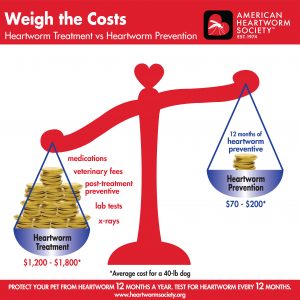 Weigh the costs