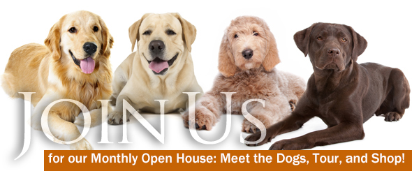 Monthly Open House Meet The Dogs Tour Shop 1 11 Delaware Valley Golden Retriever Rescue