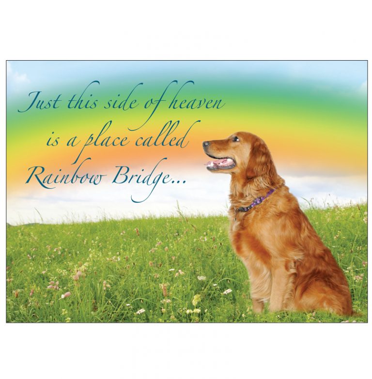 donation-greeting-card-rainbow-bridge-in-memory-of-a-pet-the